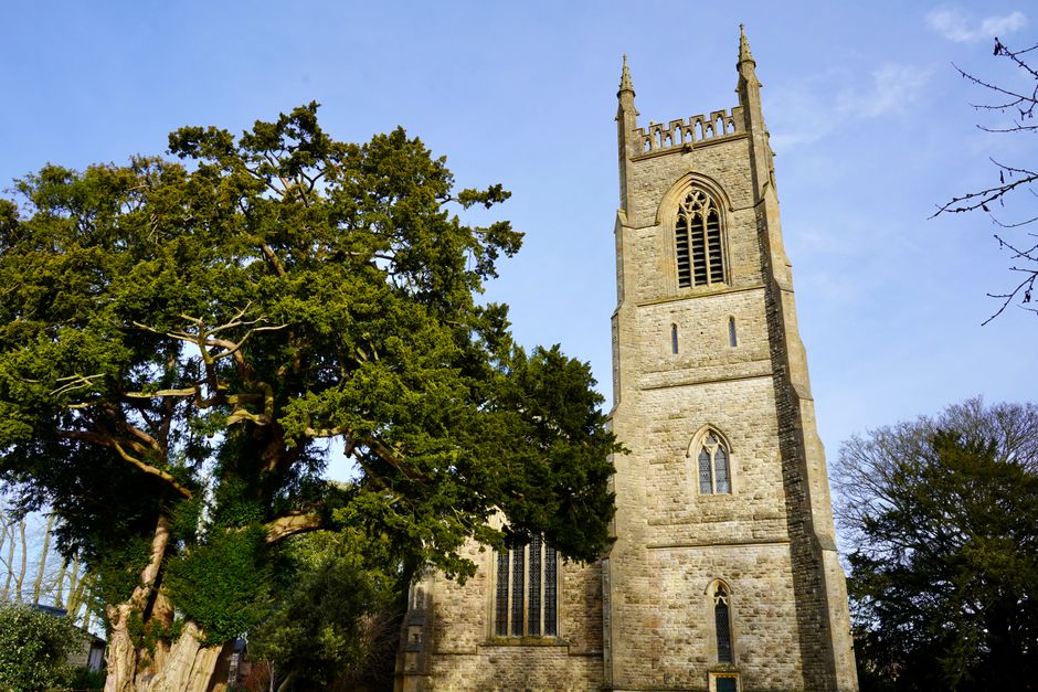 A tall stone church steeple with Gothic-style arched windows and decorative battlements rises above surrounding trees with green foliage in a clear sky. The church, set within a residential area, features a weathered stone exterior with narrow vertical windows on its tower. To the left, large leafy trees partially obscure the lower part of the structure, while on the right, bare branches are visible against the blue sky. The scene is illuminated by natural daylight, highlighting the texture of the stonework. This exterior view of the historic church contrasts with the nearby greenery, exemplifying a typical setting for house removals and furniture transport services provided by Man and a Van Finchley, supporting reliable home relocation logistics near Finchley Church End N12.